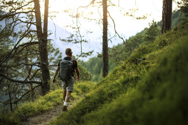 istock Senior man trail hiking in a mountain forest 1138012709