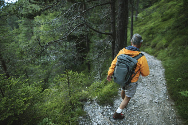 istock Senior man trail hiking in a mountain forest 1138012733