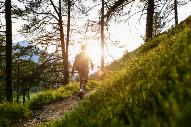 istock Senior man trail hiking in a mountain forest 1138012740