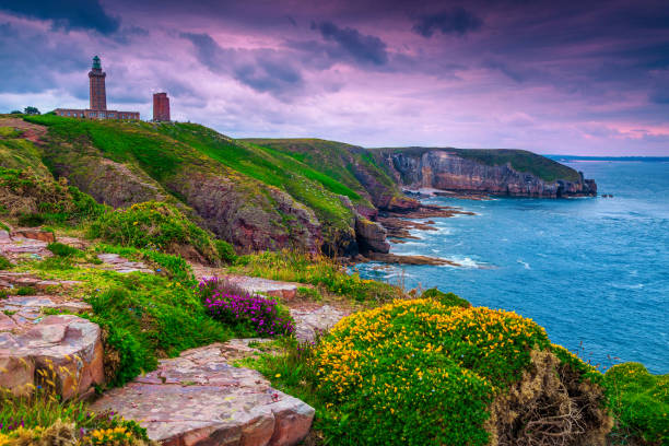 meravigliosa costa rocciosa e fiorita con faro, cap frehel, francia - frehal foto e immagini stock