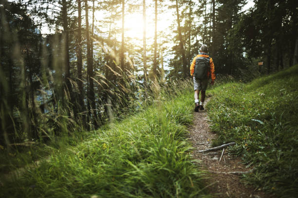 istock Senior man trail hiking in a mountain forest 1138012930