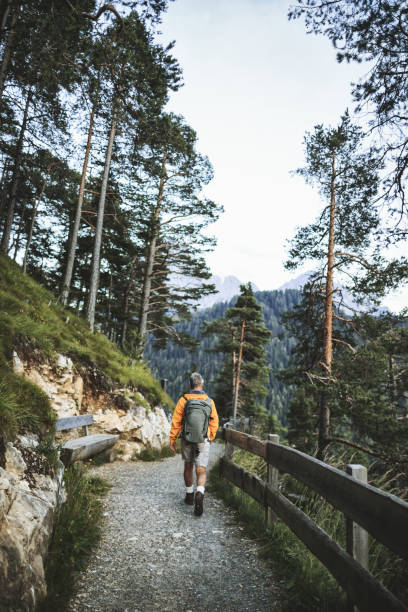 istock Senior man trail hiking in a mountain forest 1138012953