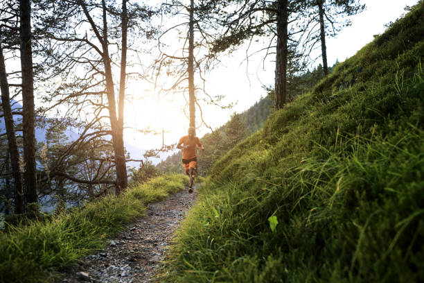 hombre trail corriendo en bosque de montaña - sella pass fotografías e imágenes de stock