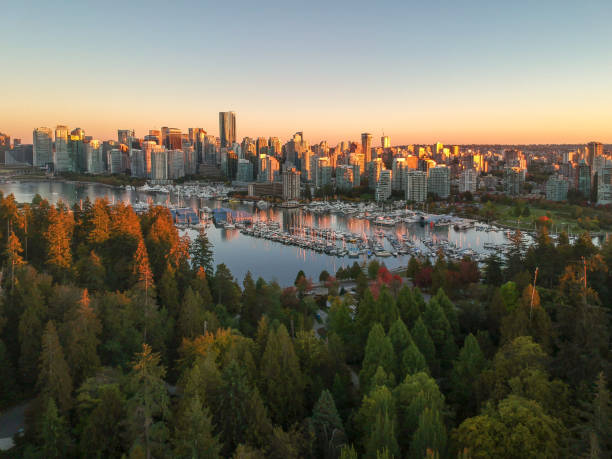 istock Stanley Park - Vancouver, Canada 1138015296