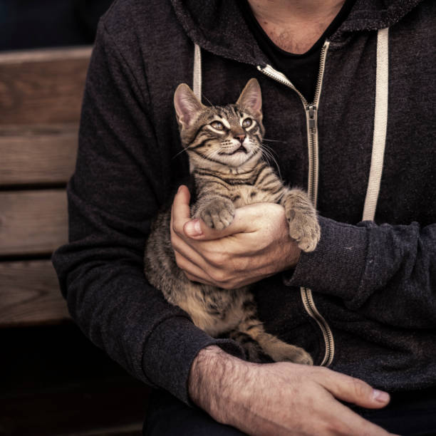 istock Stray Cat of Outside 1138015585