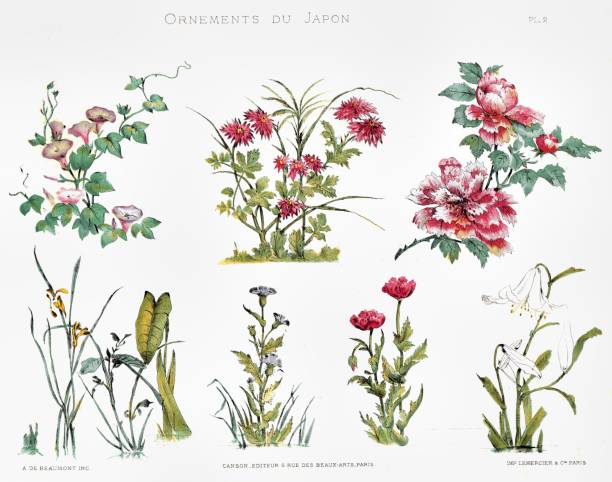 istock Japanese botany book, flowers. From Japan ornaments 1883 1138016893