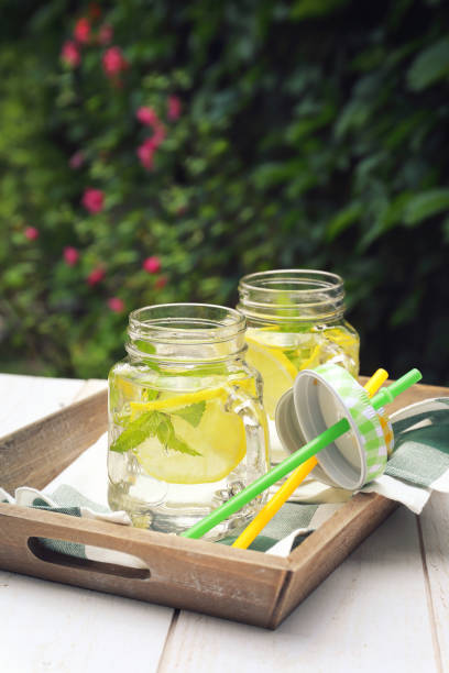 istock Summer refreshing drink. Pure water, lemon and mint 1138019572
