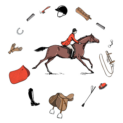 Saddlery in frame with bit, saddle, bridle, stirrup, brush, blanket horse riding gear tack grooming tool. Hand drawing vector harness set.