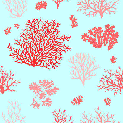 Corals seamless pattern red annd blue - Hand drawn illustration.