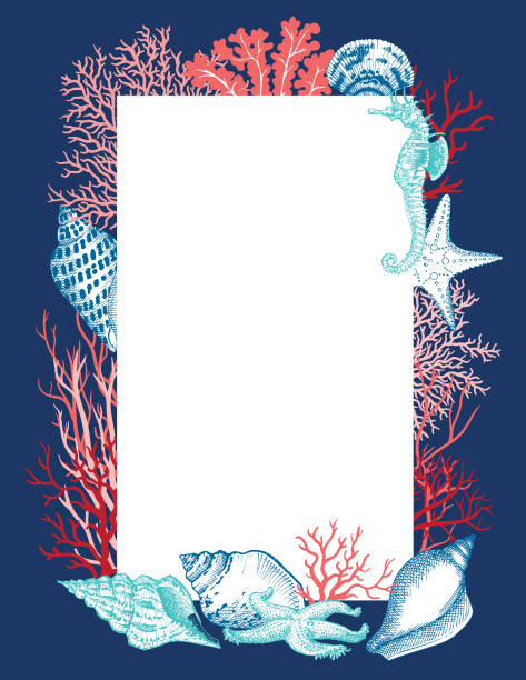 illustrations, cliparts, dessins animés et icônes de coquille de mer, cheval de mer, étoile de mer et cadre de coraux - etching starfish engraving engraved image