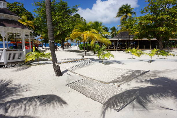 istock Palm Island Grenada beach scene with Hammock 1138023994