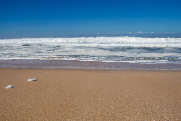 istock Sandy beach of the Atlantic ocean, Morocco 1138024030