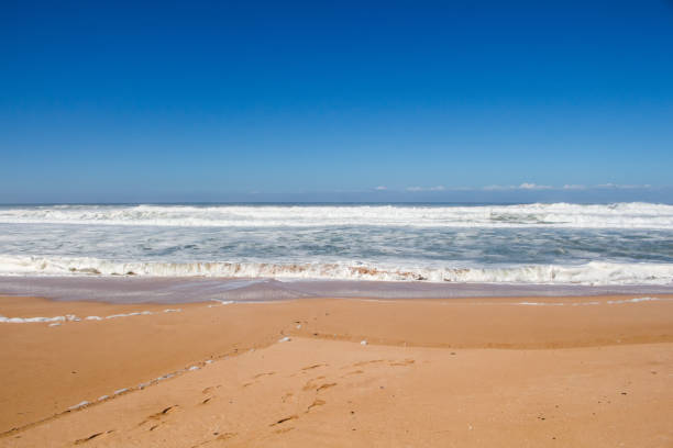 istock Sandy beach of the Atlantic ocean, Morocco 1138024092