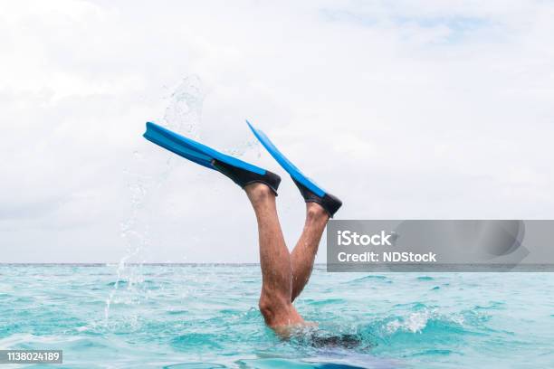 물에 잠수 하는 전단지와 남자 다리 오리발에 대한 스톡 사진 및 기타 이미지 - 오리발, 발, 다이빙 - iStock 물에 잠수 하는 전단지와 남자 다리 오리발에 대한 스톡 사진 및 기타 이미지 - 오리발, 발, 다이빙 - Istock