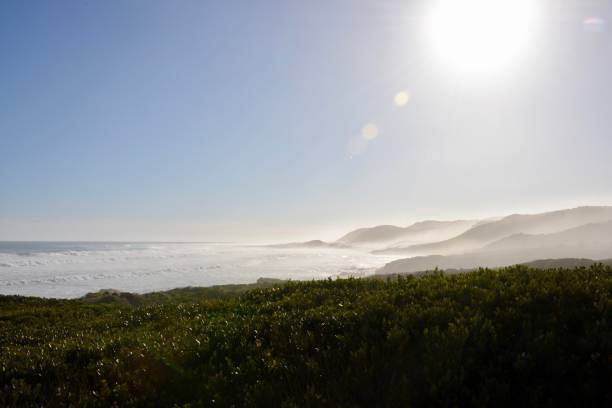 istock Late Afternoon at Cape In South Africa 1138026251
