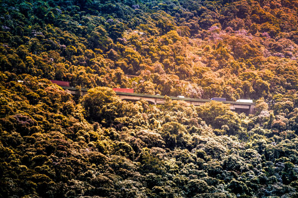 Anchieta Highway, Serra do Mar-Cubatão, São Paulo, SP-Brazil. Panoramic view of The Anchieta Highway, Serra do Mar - Cubatão, São Paulo, SP - Brazil. cubatão stock pictures, royalty-free photos & images