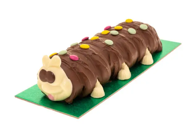 Chocolate coated caterpillar party cake - white background