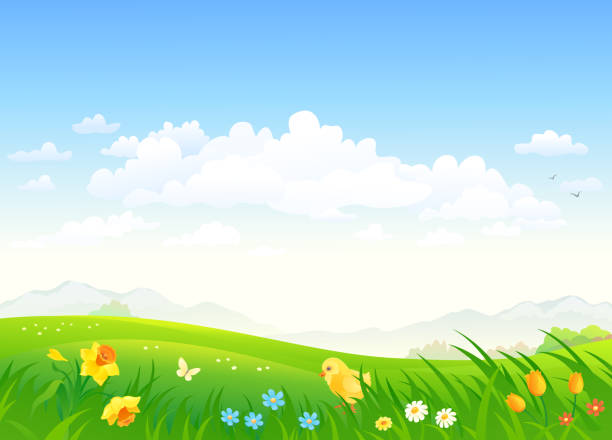 봄 국가 배경 - daffodil spring backgrounds sky stock illustrations