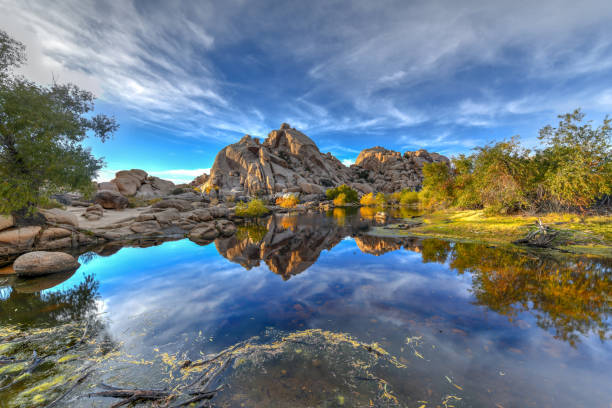 istock Barker Dam - Joshua Tree National Park 1138032111
