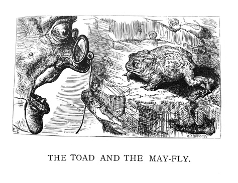 Aesop's Fables illustration - Cassell Petter and Galpin - 1868