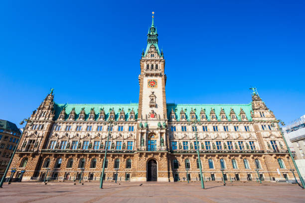 istock Hamburg City Hall or Rathaus 1138033454