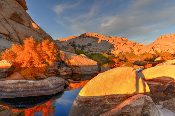 istock Barker Dam - Joshua Tree National Park 1138033990