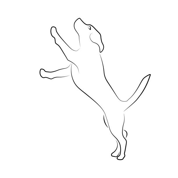 Dog playing Beagle dog playing. Vector illustration running to catch the train stock illustrations