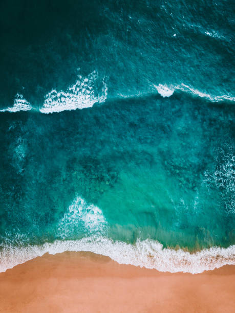 istock Aerial shot of a beach 1138040928