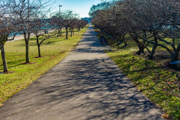 istock Long Trail with Bare Trees along Lake Michigan in Chicago 1138042505
