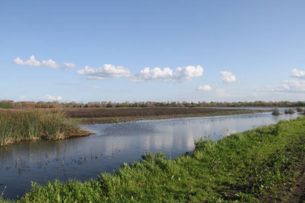 istock San Joaquin Wildlife Preserve California 1138043787