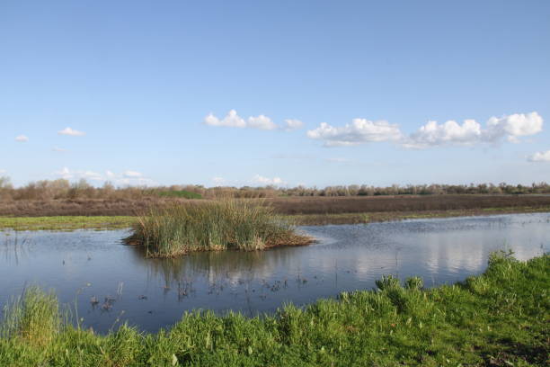 istock San Joaquin Wildlife Preserve California 1138043795