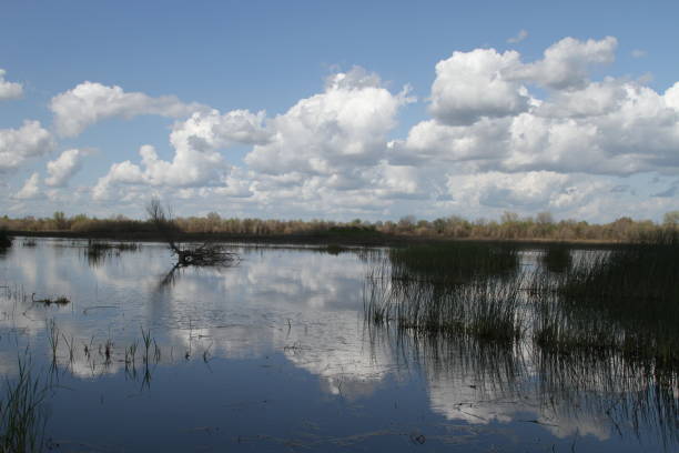 istock San Joaquin Wildlife Preserve California 1138044333