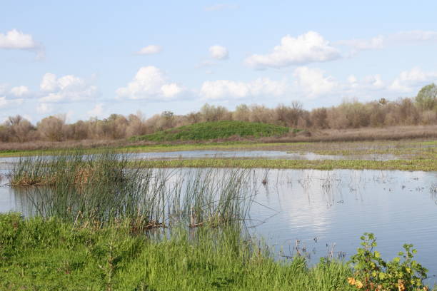 istock San Joaquin Wildlife Preserve California 1138044343