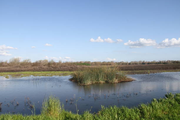 istock San Joaquin Wildlife Preserve California 1138044345