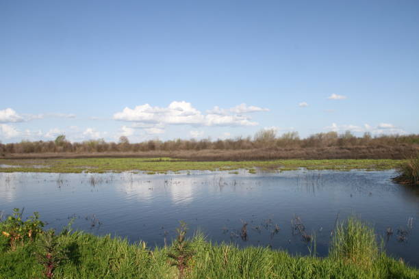 San Joaquin Wildlife Preserve California