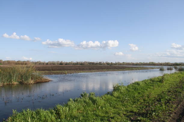 istock San Joaquin Wildlife Preserve California 1138044407