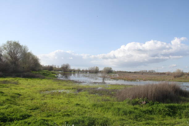 istock San Joaquin Wildlife Preserve California 1138044414