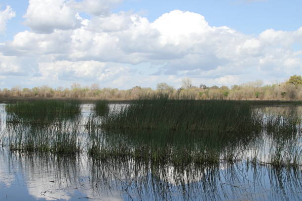 istock San Joaquin Wildlife Preserve California 1138044428