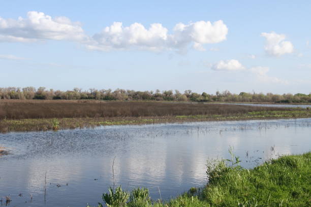 istock San Joaquin Wildlife Preserve California 1138044440