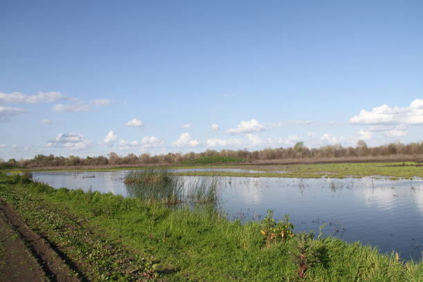 istock San Joaquin Wildlife Preserve California 1138044458
