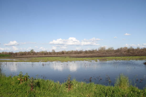 istock San Joaquin Wildlife Preserve California 1138044480