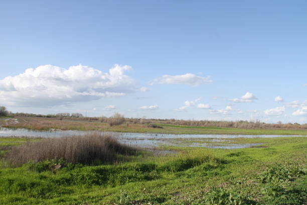istock San Joaquin Wildlife Preserve California 1138044485