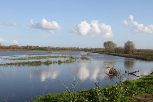 istock San Joaquin Wildlife Preserve California 1138044498