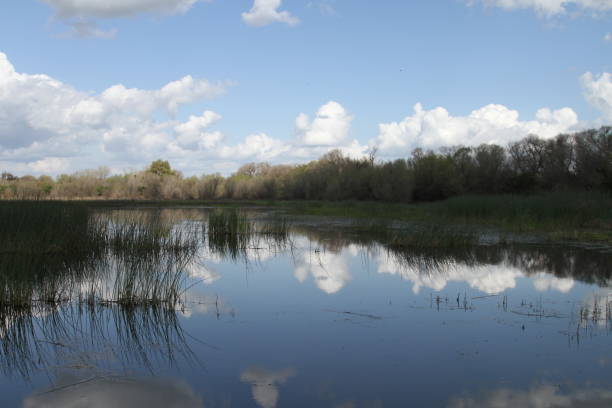 istock San Joaquin Wildlife Preserve California 1138044525