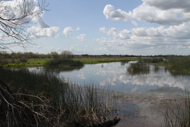 istock San Joaquin Wildlife Preserve California 1138044573
