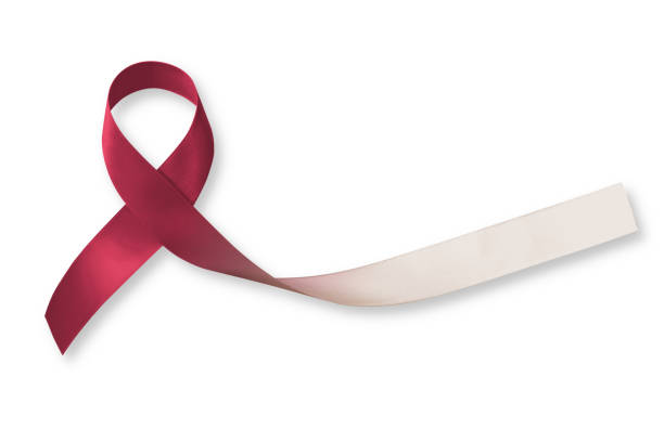 Burgundy ivory white ribbon isolated on white background (clipping path) raising awareness campaign on  Head and neck cancer Burgundy ivory white ribbon isolated on white background (clipping path) raising awareness campaign on  Head and neck cancer epithelium photos stock pictures, royalty-free photos & images