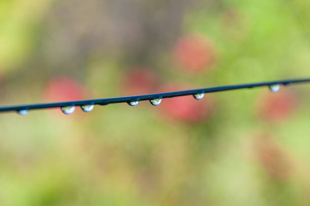 istock Close up of metallic wire with water droplets 1138049359
