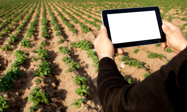 istock Agronomist Using a Tablet in an Agriculture Field 1138052900