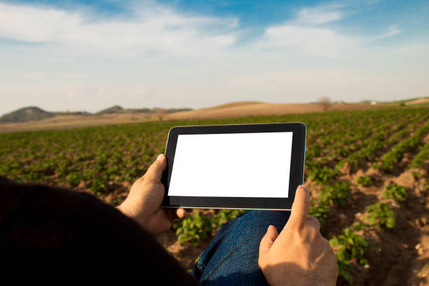 istock Agronomist Using a Tablet in an Agriculture Field 1138052949