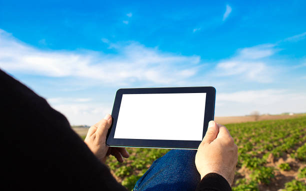 istock Agronomist Using a Tablet in an Agriculture Field 1138053647